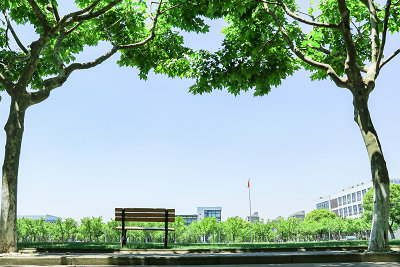 清华大学在职研究生